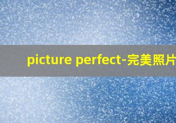 picture perfect-完美照片